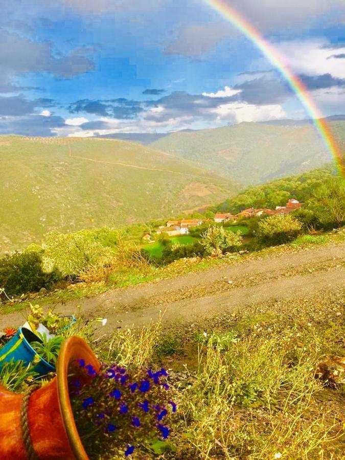 Mosteirinho Negreda Exteriér fotografie